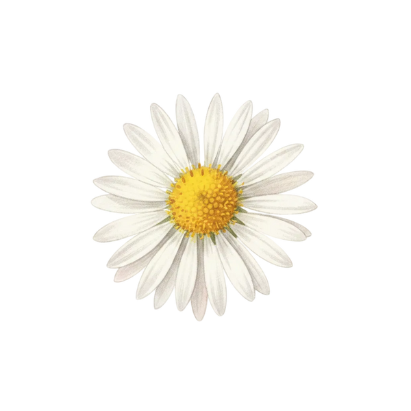Wildflower Waves